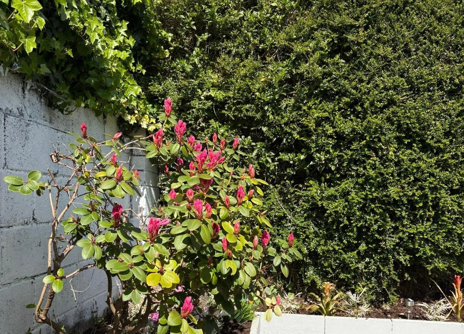Superb Triple Room Near Airport - 4 Dublin