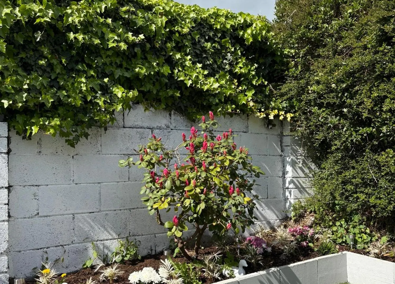 Superb Triple Room Near Airport - 4 Dublin